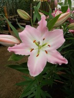 [4364 Perth DJ No102.JPG]